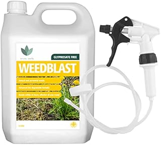 Enviro Works - Weedblast - 5 Litre Weedkiller - Long Hose Trigger - Fast acting (Ready to use) See results within 24 hours
