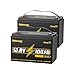 12V 100Ah LiFePO4 Lithium Battery 2 Pack, 12 Volt Lithium Batteries Group 31 Low-Temp Protection Built-in 100A BMS, Up to 15000 Deep Cycles, 1280Wh Rechargeable Lithium Battery