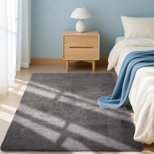 Tapis de chambre facile à entretenir et super doux pour la maison