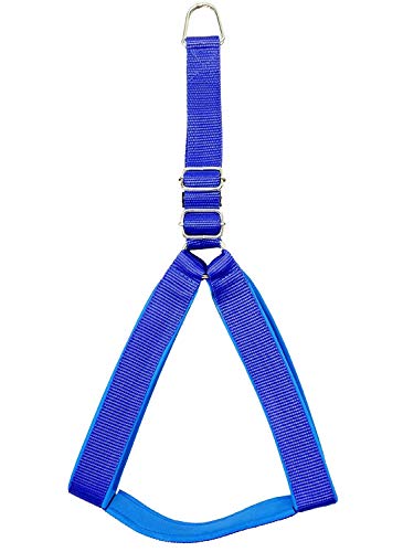Image of No Pull -Step in Soft Padded Buckle Dog Harness and Collar Leash - Escape Proof Adjustable Combo for Walking Training Hiking Outdoor (Blue, Extra Small)