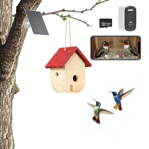 Hummingbird House with Camera Solar Powered