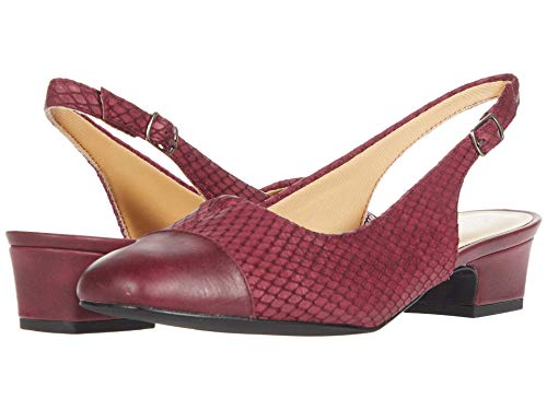 Image of Trotters
