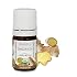 Amrita Aromatherapy Organic Ginger CO2 Essential Oil, 100% Pure Undiluted Zinziber offic. rosc. root, Therapeutic Grade, Premium Quality Aromatherapy oil, Tested & Verified, 5ML
