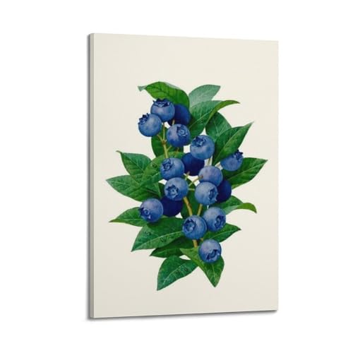 Poster aquarelle myrtille JIDUHON 20x30 cm sur toile avec cadre