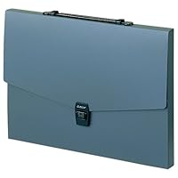 Amazon.co.jp: セキセイ ドキュメントファイル アルタートケース