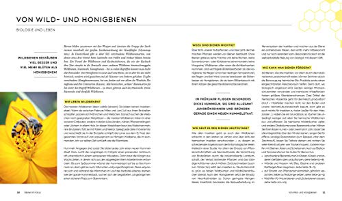 Wildbienenfreundlich gärtnern für Balkon, Terrasse und kleine Gärten: Gärtnertipps für mehr Insektenschutz und… – Bild 5