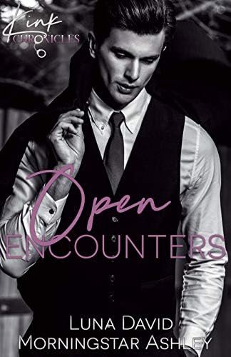 Open Encounters (Kink Chronicles Book 2) Kindle Edition