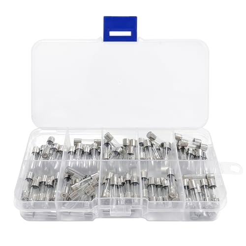 WELANE Glass Quick Fast Blow Fuse kit, 100 PCS Fast Blow Glass Fuses Assortment Kit with a Storage Box (5x20mm, 0.2A~20A)