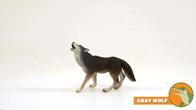 Amazon.com: Safari Ltd. Gray Wolf Figurine - Detailed 3.75