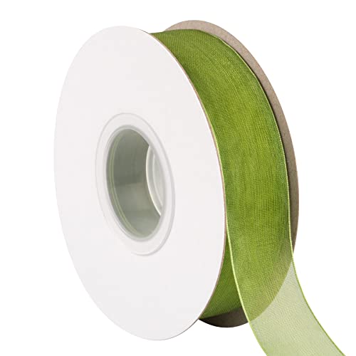 TEKDEERE 25mm Sheer Organza Ribbon,Moss Shimmer Chiffon Ribbon for DIY Crafts Wedding Party Decorations Gift Wrapping Bridal Bouquets (45M)