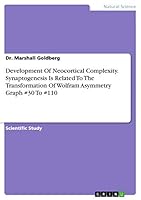 Development Of Neocortical Complexity. Synaptogenesis Is Related To The Transformation Of Wolfram Asymmetry Graph #30 To #110 3668420327 Book Cover