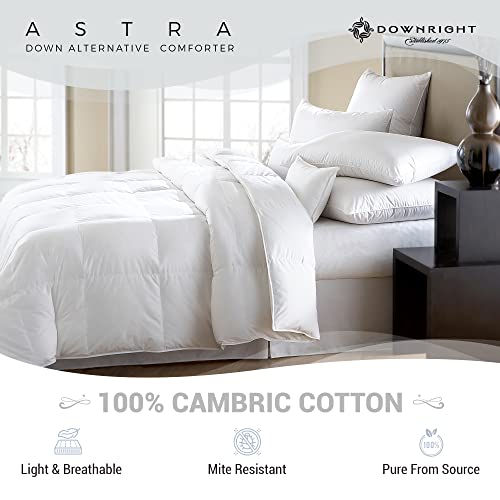 Downright 233 Thread Count 25 Oz Astra Likedown Comforter, 40" X 60" #TOP3