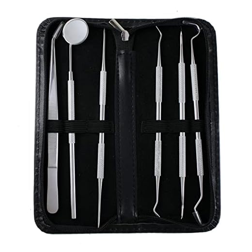 Kit completo de limpeza dentária profissional com removedor de placa e raspador de tártaro, ferramentas de higiene bucal de aço inoxidável para limpeza de dentes e higiene dentária - com estojo de
