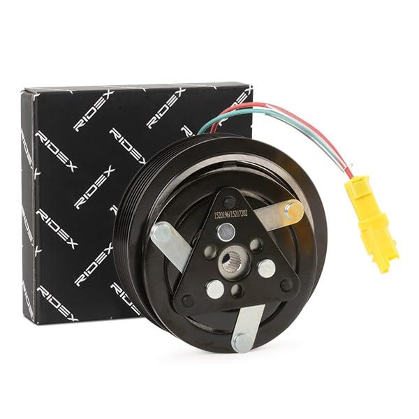 447K0317 RIDEX Compressore aria condizionata HS09, 12V, PAG 46, R134a