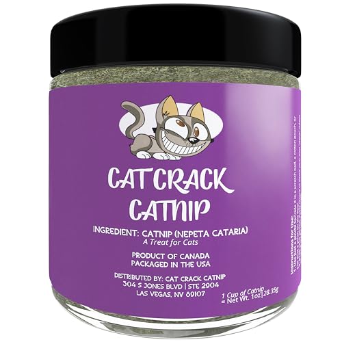 Cat Crack Catnip Los 15 mejores productos comparados Wild Explicado