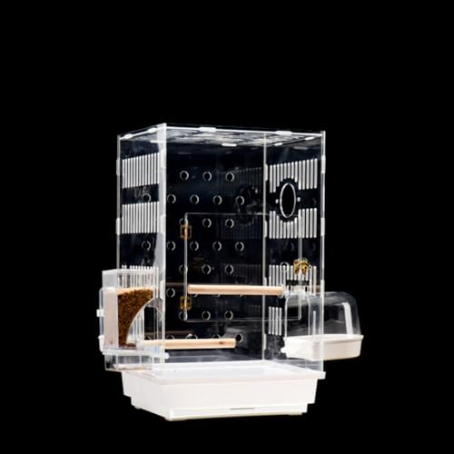 IEpm}ANP[WhHϏܕʑƒpWP[W (A)