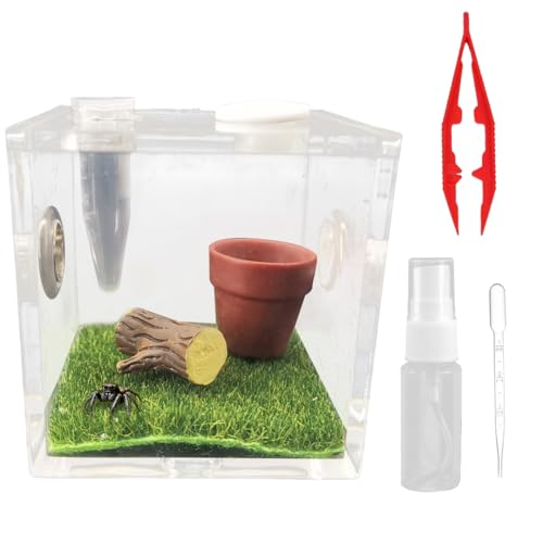 ^`P[X AN w偎P[X ANZT[ 奁E^`p ANw偐Lbg X^C1