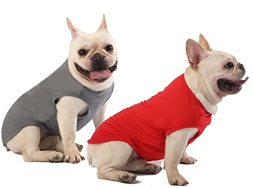 Dog Blank Quick Dry Shirtslightweight Stretchy Summer Solid Dogs Cats Clothessleeveless Cool Sweater for Small Boy Girl Breedredgreyxs  Cucciolini Doodles Dog blank quick dry shirtslightweight stretchy summer solid dogs cats clothessleeveless cool sweater for small boy girl breedredgreyxs   cucciolini doodles
