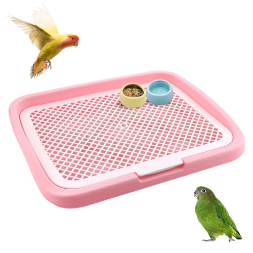 �o�[�h�t�B�[�f�B���O�e�[�u�� ��^ �o�[�h�L�[�s���O�X�e�[�V���� �������A�N�Z�T���[ �� �I�E�� �C���R �Z�L�Z�C�C���R �I�J���C���R ���u�o�[�h(�s���N)