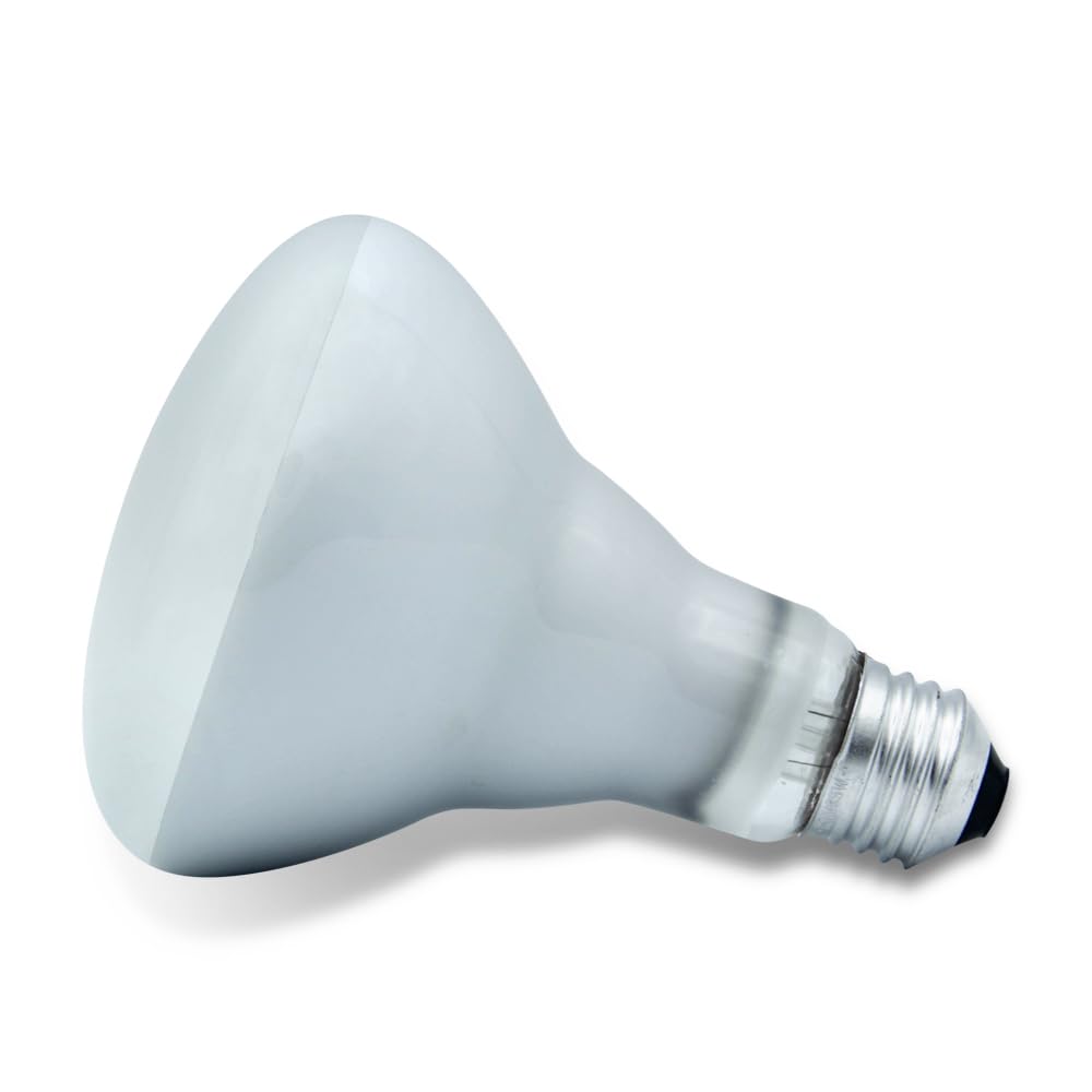 Replacement for Philips 65BR30/FL55 120V by Technical Precision 6 Pack