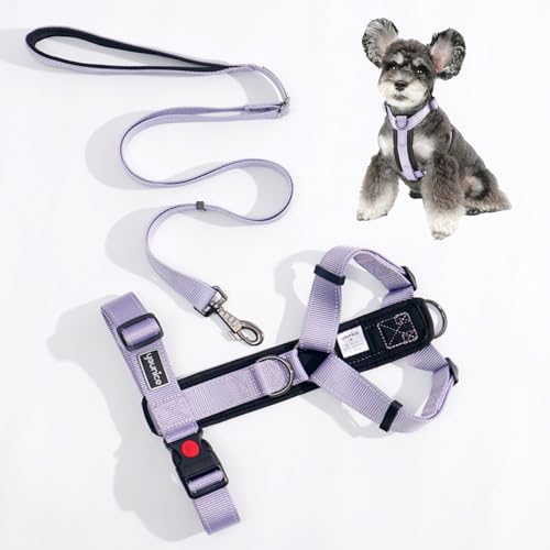 GIIPET-�� �n�[�l�X ���p���� ���߉\ �����ȒP ��Ԕ��� ���p�n�[�l�X �����[�h�t�� ���S��������Ȃ� ���^��/���^��/��^�� �ʋC�� ���b�V�� ���s�⏕ �U�� �����p �y�� ���S ������� ��������h�~ �h�b�O �P�� �Č� �H�c��