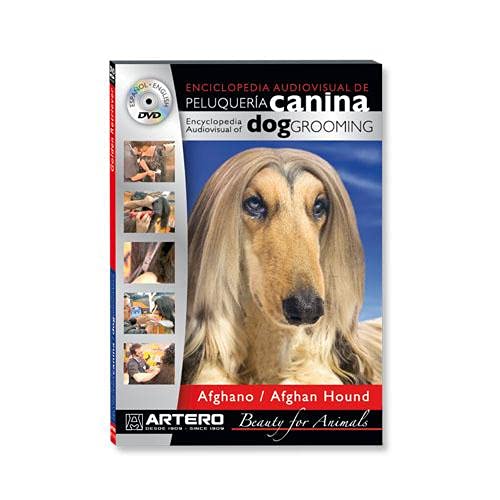 Artero DVD afghano