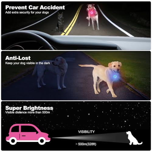 AHJ Hundelicht LED Aufladbar 2 Stück, USB-Sicherheits-Leuchtanhänger mit Blinklicht für Hunde & Katzen – kinderleicht an Schulranzen, Geschirr oder Jogger im Dunkeln befestigt( Rosa-Blau)