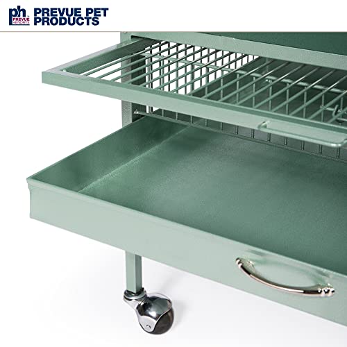 Image of Prevue Pet Products Wrought Iron Select Bird Cage - Large Steel Cage with Rolling Stand, Seed Guards, and Playtop, Durable Design, Ideal for Conures and Medium Birds - Sage Green