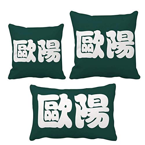 Coussin de chine ouyang ensemble décoratif idée cadeau original de canapé
