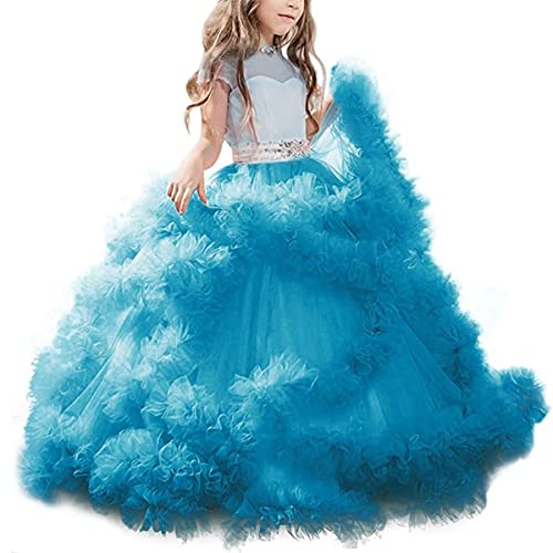 Stunning V-Back Luxury Pageant Tulle Ball Gowns for Girls 2-12 Year Old