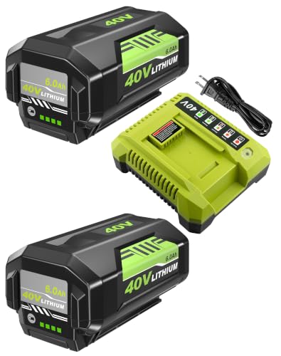 Image of 2Pack 6000mAh Lithium Battery Replacement for Ryobi 40V Battery and Charger