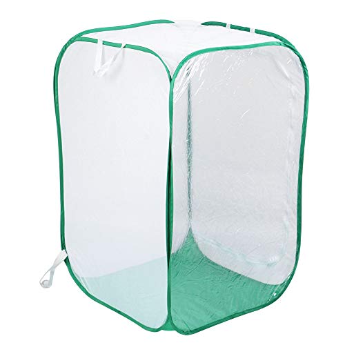 Jaula para insectos con estructura plegable y paredes de malla ventilada 5