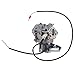POEMQ GX620 Carburetor for Honda GX610 18HP GX620 20HP Single Cylinder Gas Engines Replace 16100-ZJ0-871 16100-ZJ1-872 16100-ZJ1-872 with Fuel Pump Oil Filter Fuel Filter