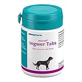 almapharm astoral Ingwer Tabs 30 Tabletten