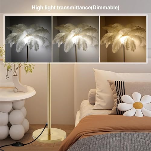 Lámpara de pie de plumas de avestruz TTDGYYXW de 63 pulgadas LED regulable para salón 4