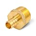 Everflow EPMA1234-NL Lead Free 1/2-Inch Pex Barb x 3/4-Inch MIP Brass Adapter