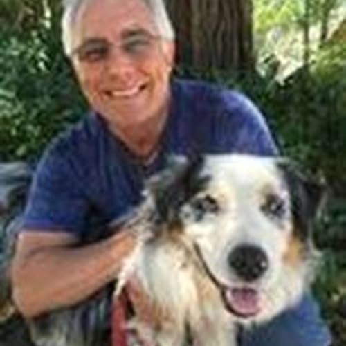 Michael Stone - Being Peace