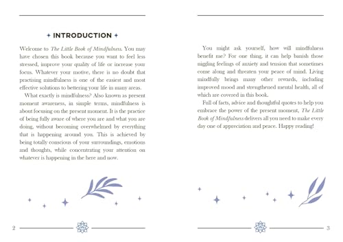 The Little Book of Mindfulness: An Introduction to the Art of Being Present - Image 3