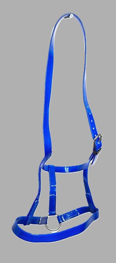 PVC Horse Under Halter Driving Headcollar Soft Durable Stainless Steel Blue Full Cob Pony (Pony)