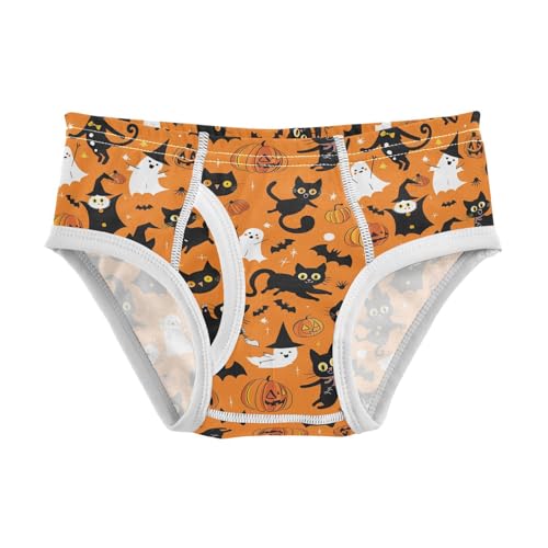 visesunny Boys Potty Training Underwear Orange Magic Cat Pumpkin Breathe Cotton Briefs Size 2T-8Y for Toddler