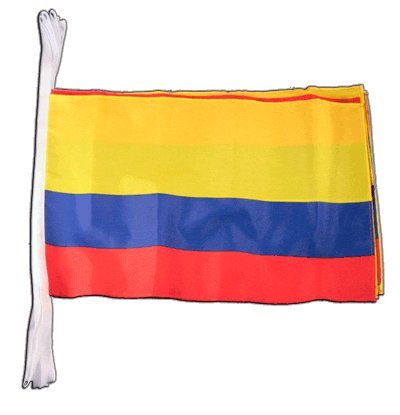 Guirlande de drapeaux Colombie géante Digni pour décoration
