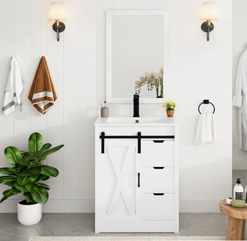 chartustriable 24 Inch Bathroom Vanity with Sink & Faucet &