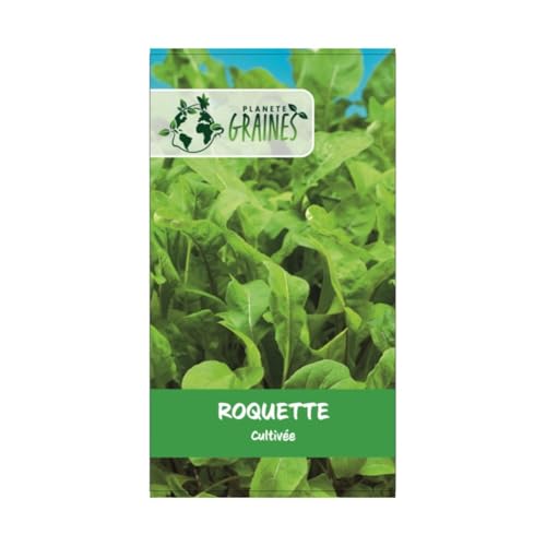 1000 graines Roquette cultivée - salade