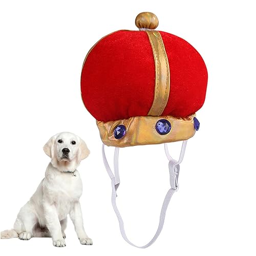 YARNOW V[LpRXvXq ybgpwbhs[X \ȃGXeBbNoht K_炩f Lbgwbhoh hNEXq bh ̓ãv[g