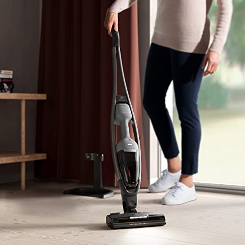 Electrolux EF167 - Set di filtri per Q9