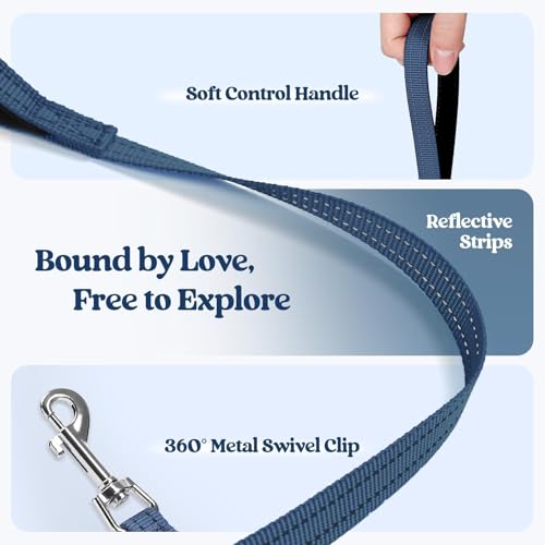 rabbitgoo Step-In Harness & Leash Set (Navy Blue, Small) — view 6