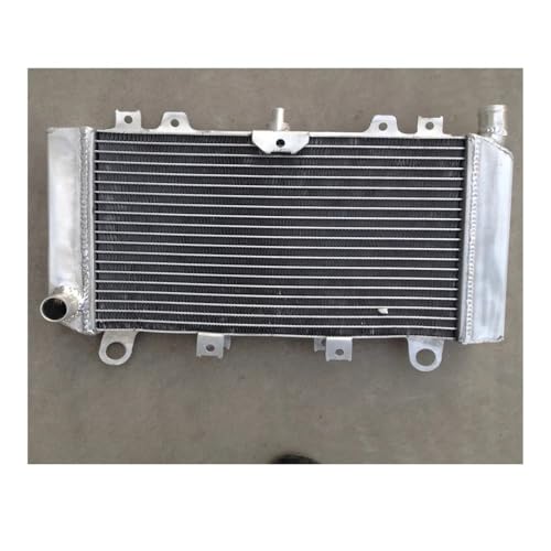 ZX6E 1993-2002ɓK1PCA~WG[^[