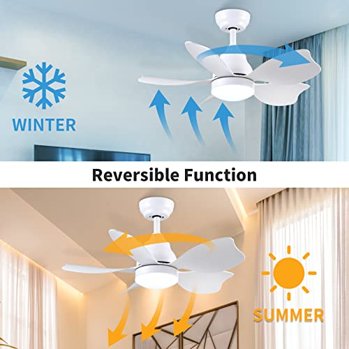 Newday 30 Inch Ceiling Fan, Small Ceiling Fan With Lights And Remote Control, Quiet Reversible Motor, White Modern Ceiling Fan For Bedroom, Living Room #TOP2
