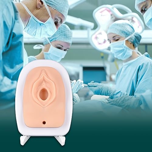 Image of Episiotomy Suturing Simulator, Perineal Repair Trainer, Episiotomy Suture Model, Female Vulva Incision Perineal Suture Practice Model