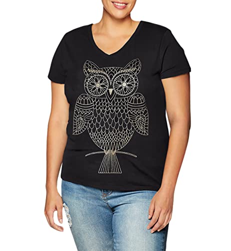 Hanes Women's Short Sleeve V-Neck Graphic T-Shirt #TOP1